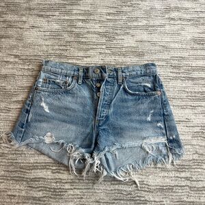 AGOLDE Parker Vintage Cut Off Denim Distressed Shorts